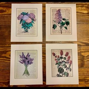 Four Vintage Floral Botanical Prints (8x10)